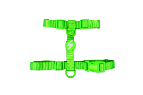 Dashi - Back Harness - Pattern - Neon