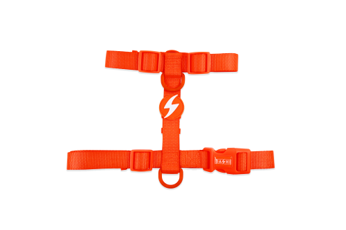 Dashi - Back Harness - Pattern - Neon