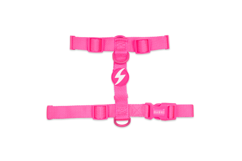 Dashi - Back Harness - Pattern - Neon