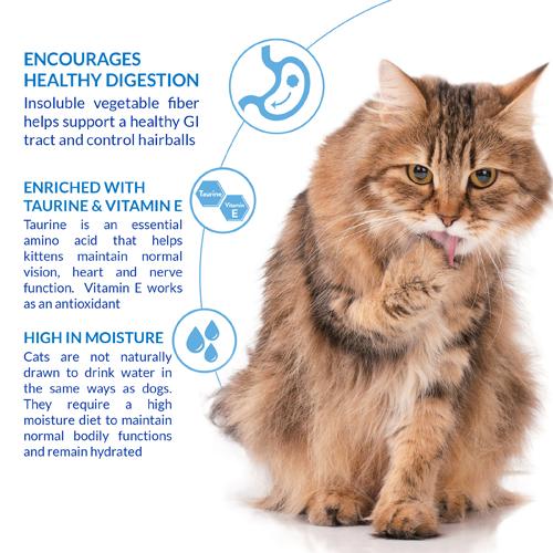 Inaba - Churu - Cat - Puree - Functional - Hairball - Chicken - 12x 4x 14g - Economy