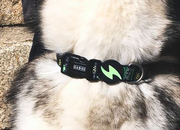 Dashi - Collar - Pattern -  Gamer