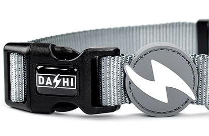 Dashi - Collar - Solid Color - Grey