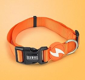 Dashi - Collar - Solid Color - Orange