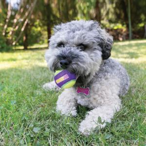 Kong - Dog - Crunch Air Balls
