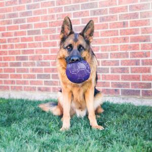Kong - Dog - Flexball