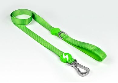 Dashi - Leash - Solid Color - Green