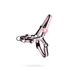 Dashi - Front Harness - Pattern - Stripes3 - Pink & Black
