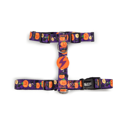 Dashi - Back Harness - Pattern - Pumpkin