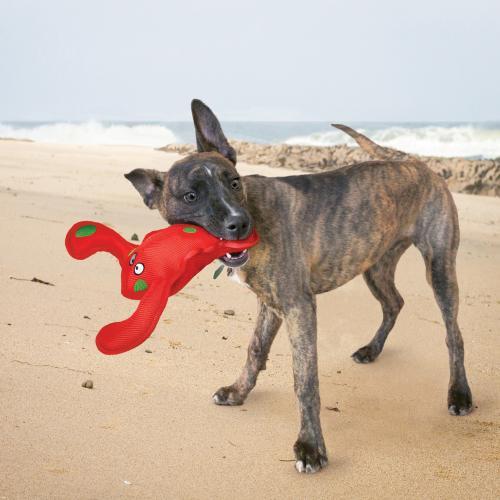 Kong - Belly Flops - Lobster