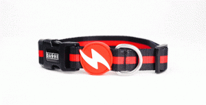 Dashi - Collar - Pattern -  Stripes3 - Red & Black