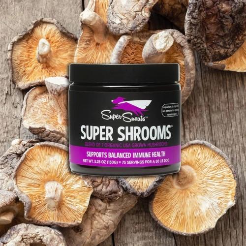 Super Snouts - Super Shrooms