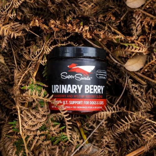 Super Snouts - Urinary Berry