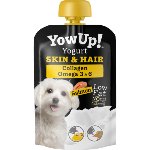 YowUp! - Iogurte Natural - Cão - Salmão / Pele & Pelo - 10x 115g - Economy
