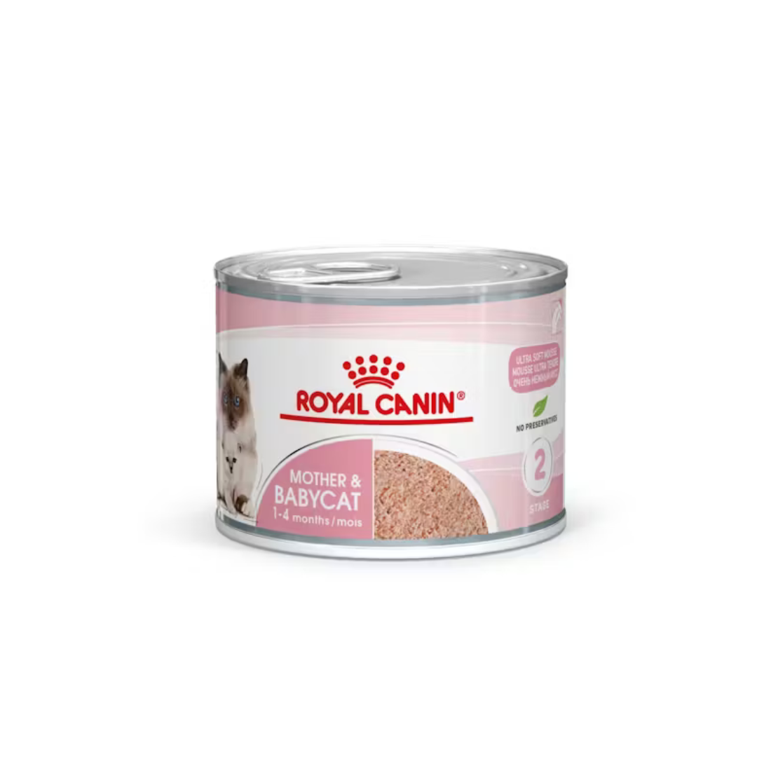 Mother e Babycat Mousse 12x195g- Aliment Humide- Royal Canin