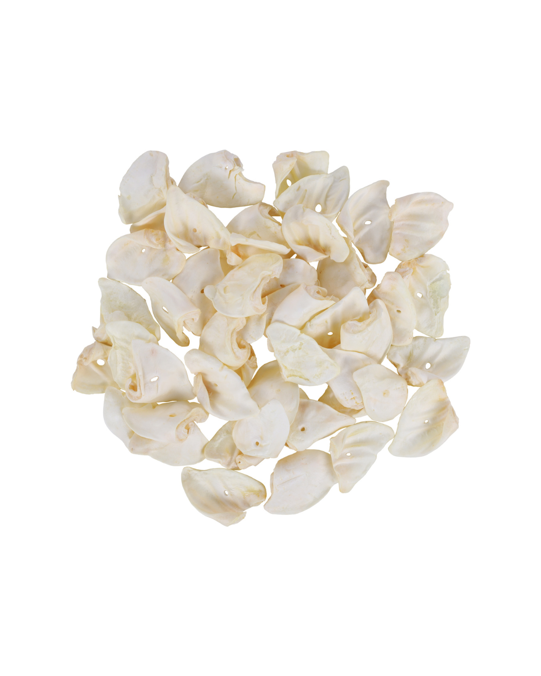 Flamingo- Oreilles de Porc Naturelles pour Chiens