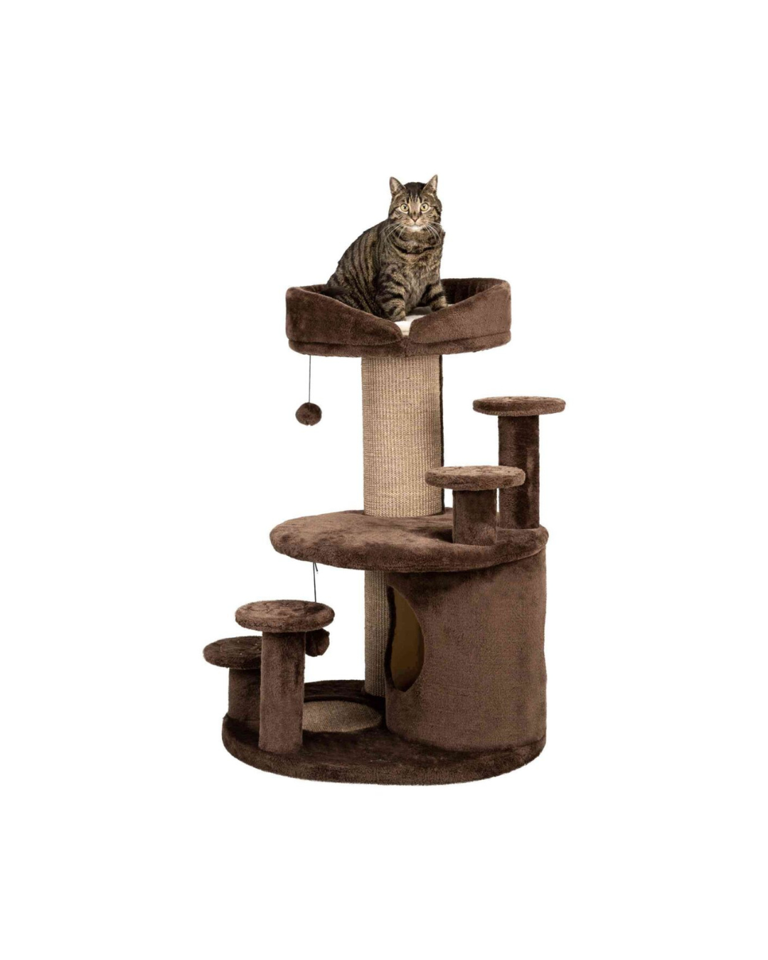 Arbre à Chat Emil – Spécial Chats Âgés- Trixie