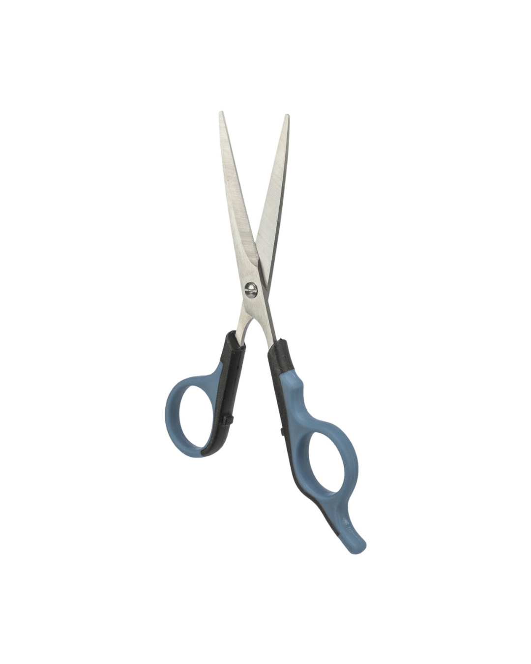 Ciseaux pour chiens - Trixie