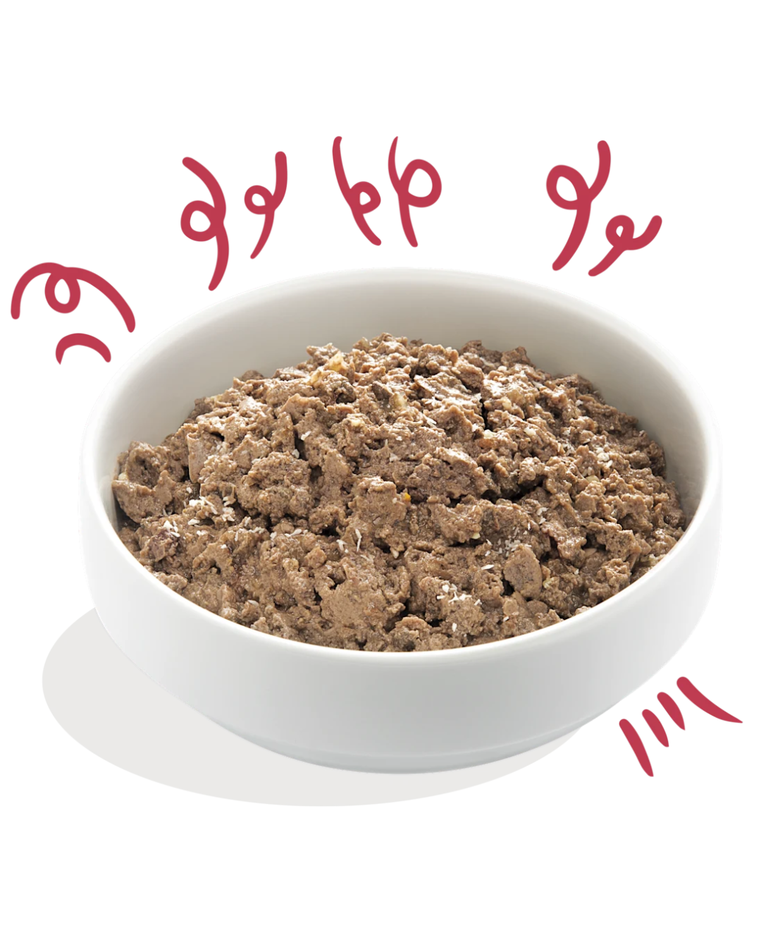 Pâtée au Bœuf Bio – Aliment Humide pour Chiens – Edgard Cooper