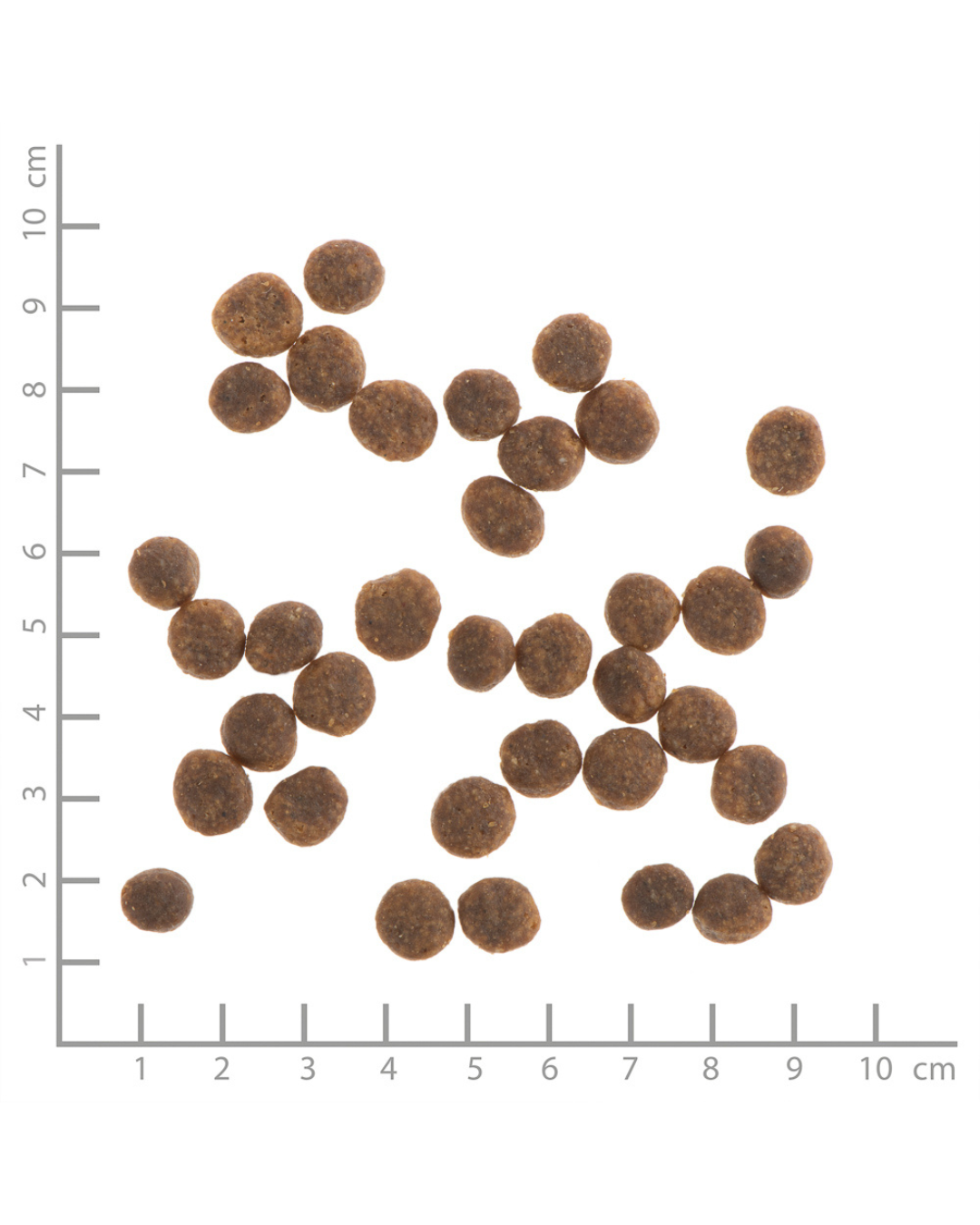 Wildes Land – Croquettes – Puppy Canard & Poulet 12 kg