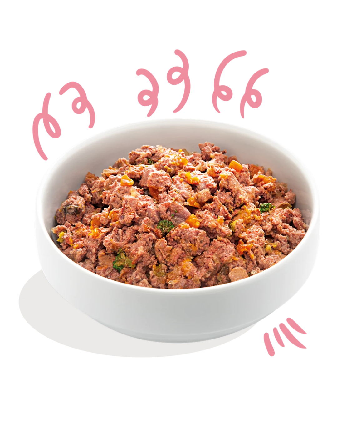 Poulet et Saumon -  Aliment Humide pour Chiens- Edgard Cooper