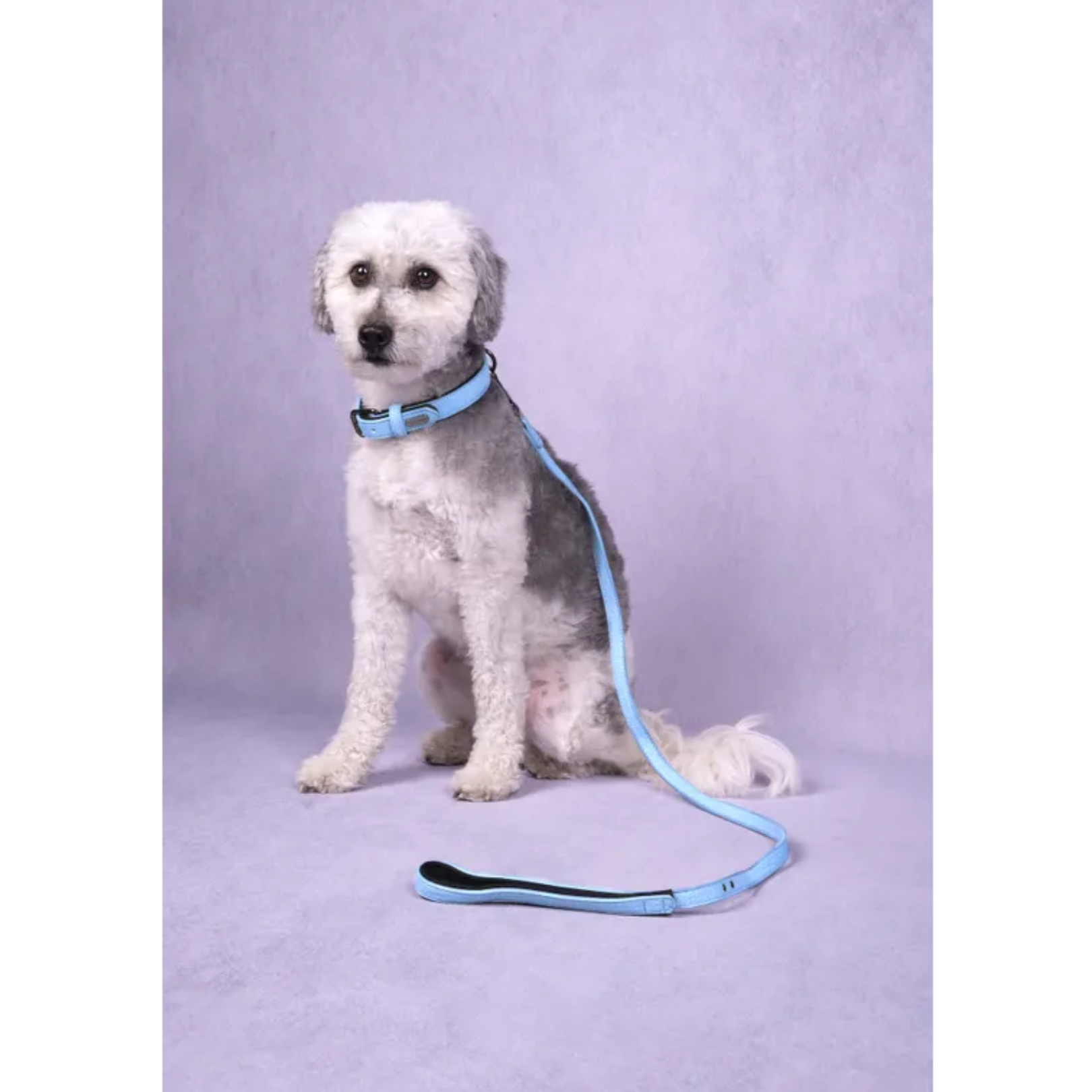 Collier Neoprene Leza Bleu - Flamingo