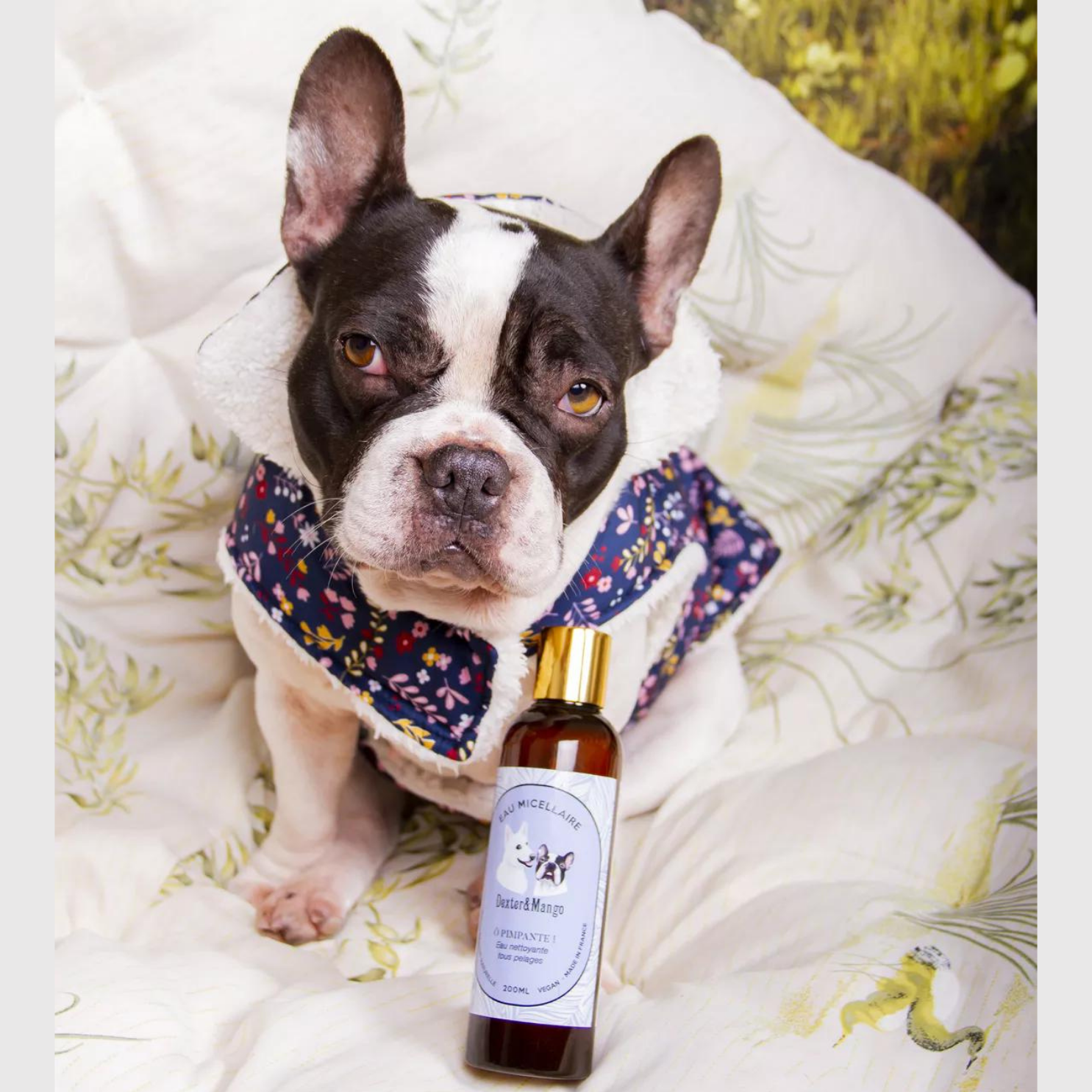 Eau Micellaire Nettoyante Ô Pimpante - Dexter & Mango 200ml