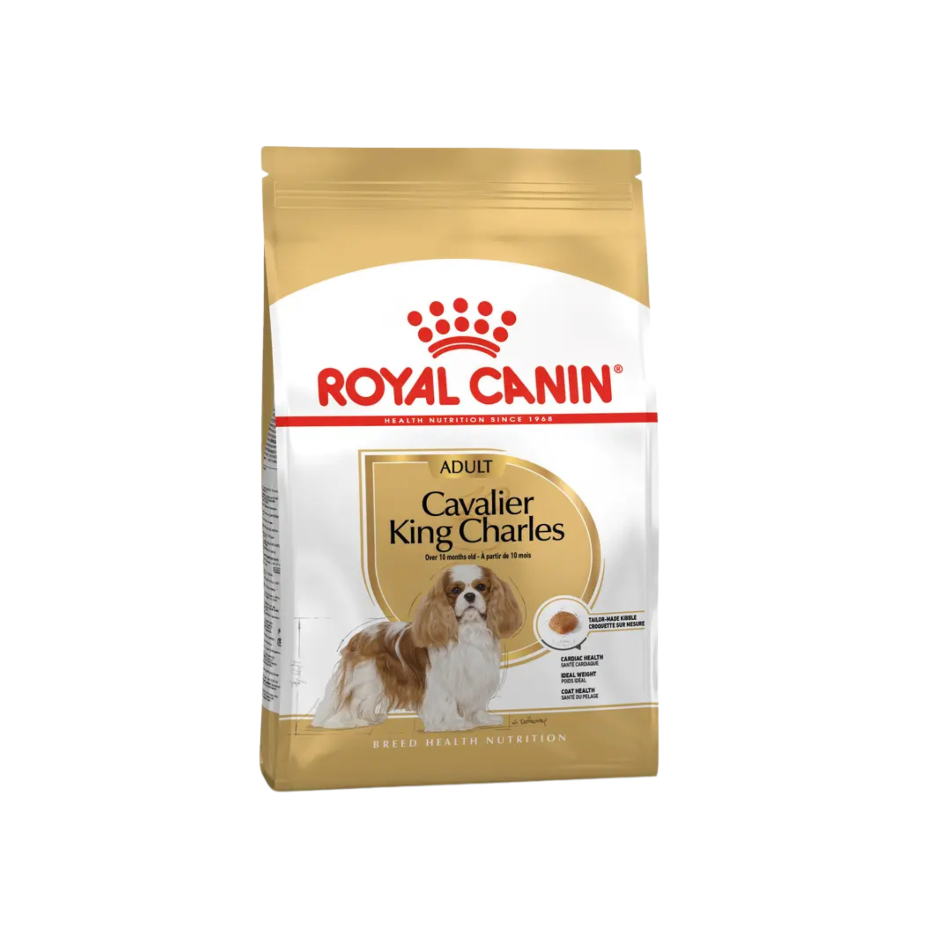 Cavalier King Charles Adulte -  Aliment sec - Royal Canin