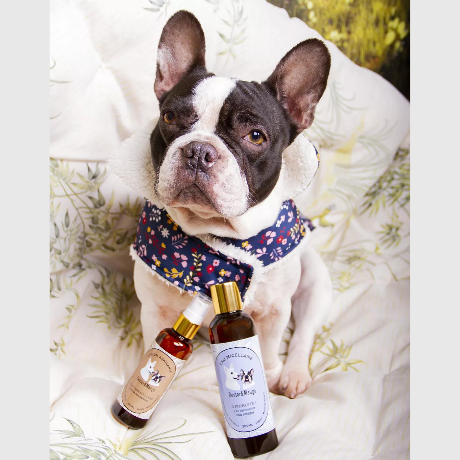 Lotion Anti-démangeaisons: L´eau Miraculeuse - Dexter & Mango 100ml