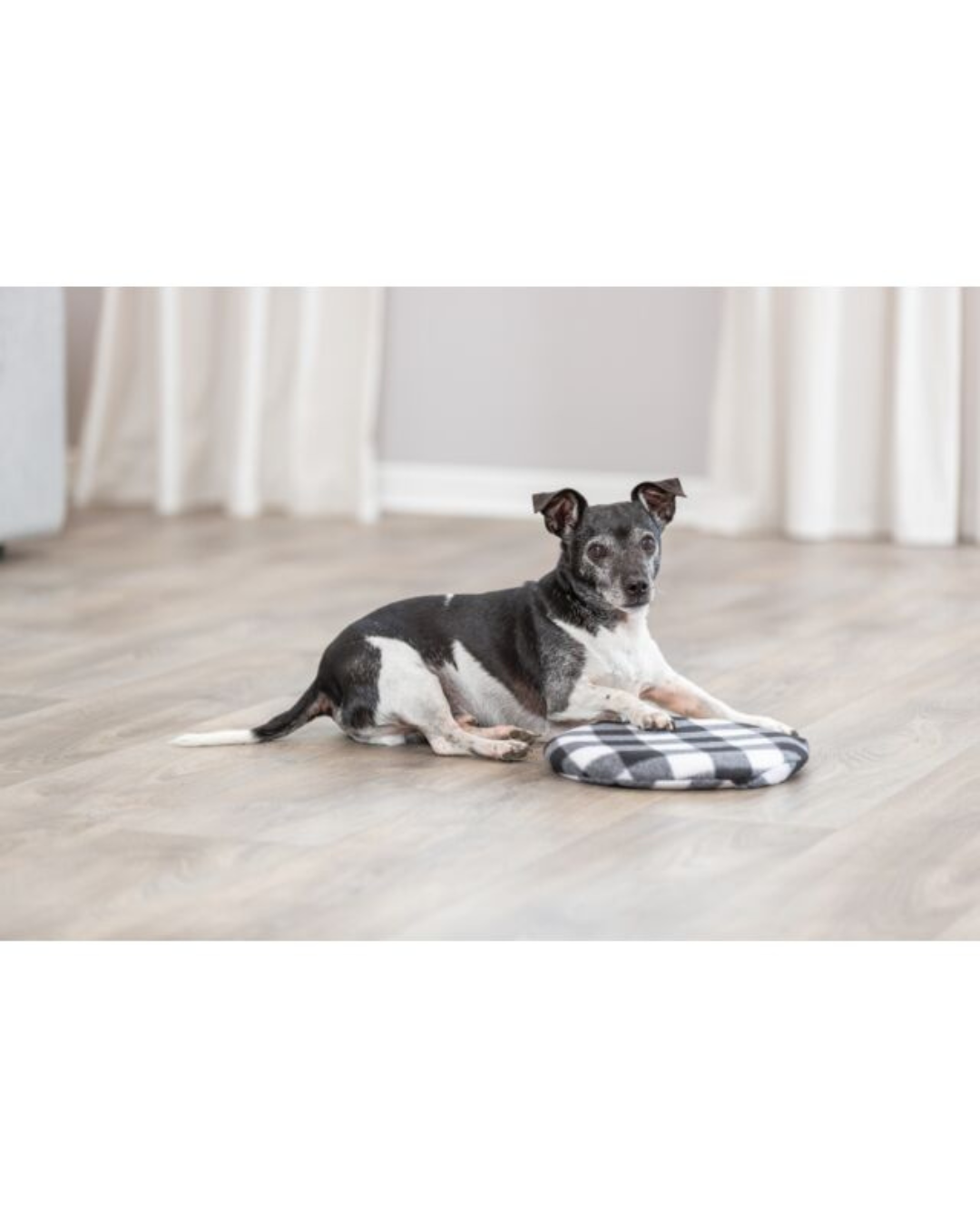 Coussin thermique pour micro-ondes- Trixie