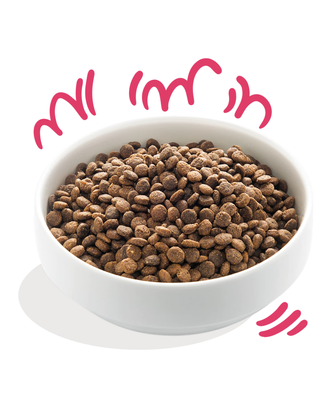 Bœuf et Poulet Biologiques – Aliment Sec – Edgard Cooper