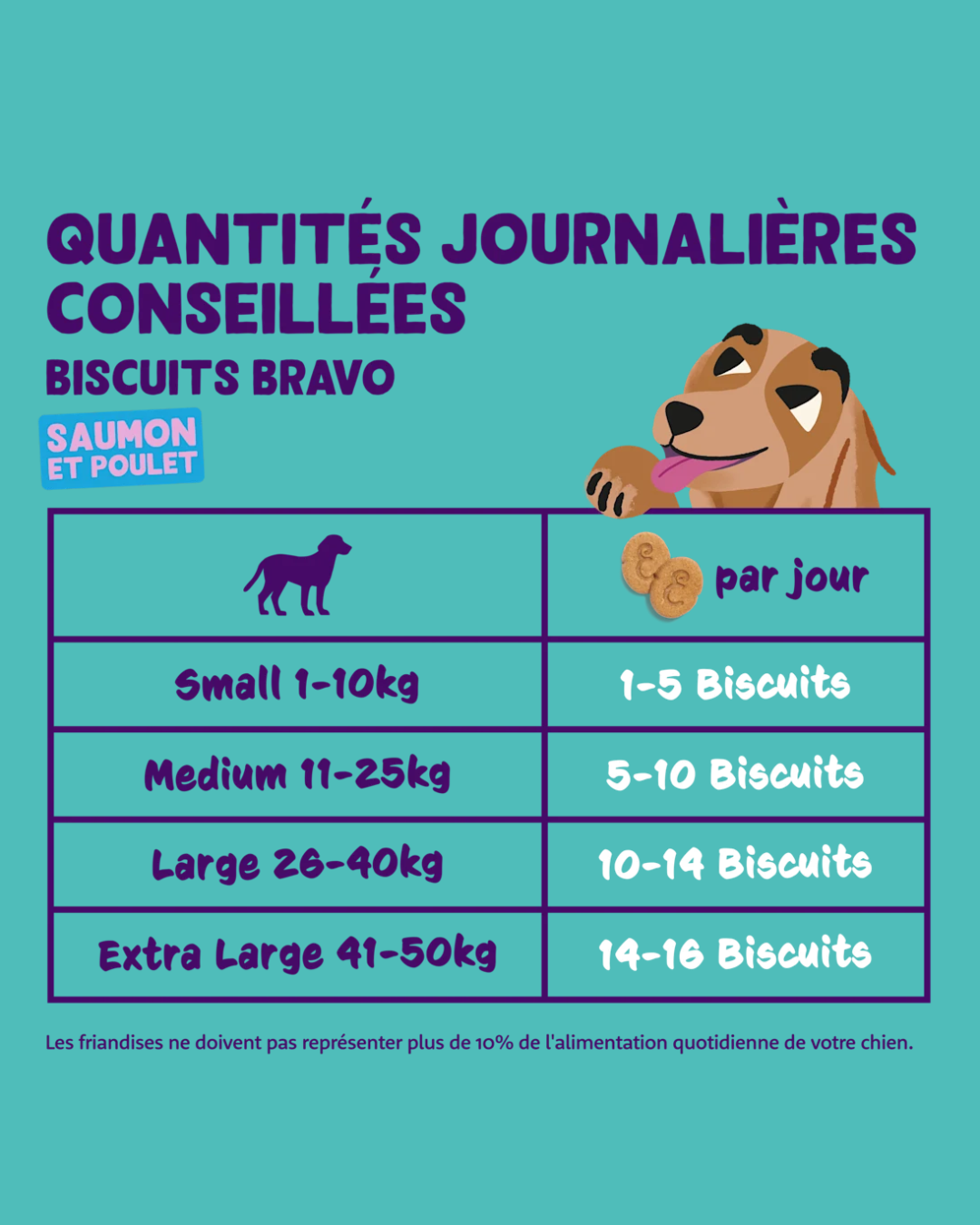 Biscuits Pomme et Myrtille – Friandise pour Chiens 400g – Edgard Cooper