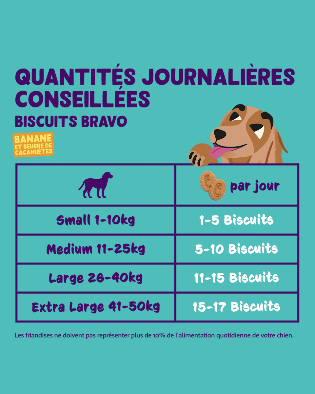 Biscuits à la Banane et au Beurre de Cacahuète 400g– Friandise pour Chiens – Edgard Cooper