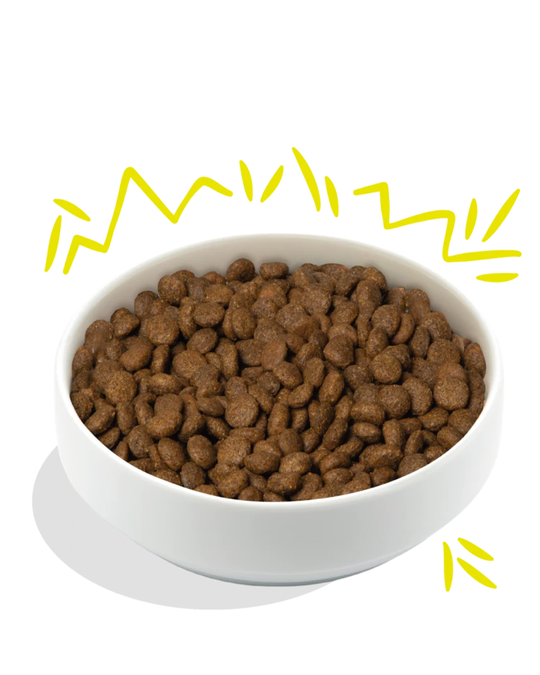 Carotte et Courgette Croquantes – Aliment Sec pour Chiens – Edgard Cooper