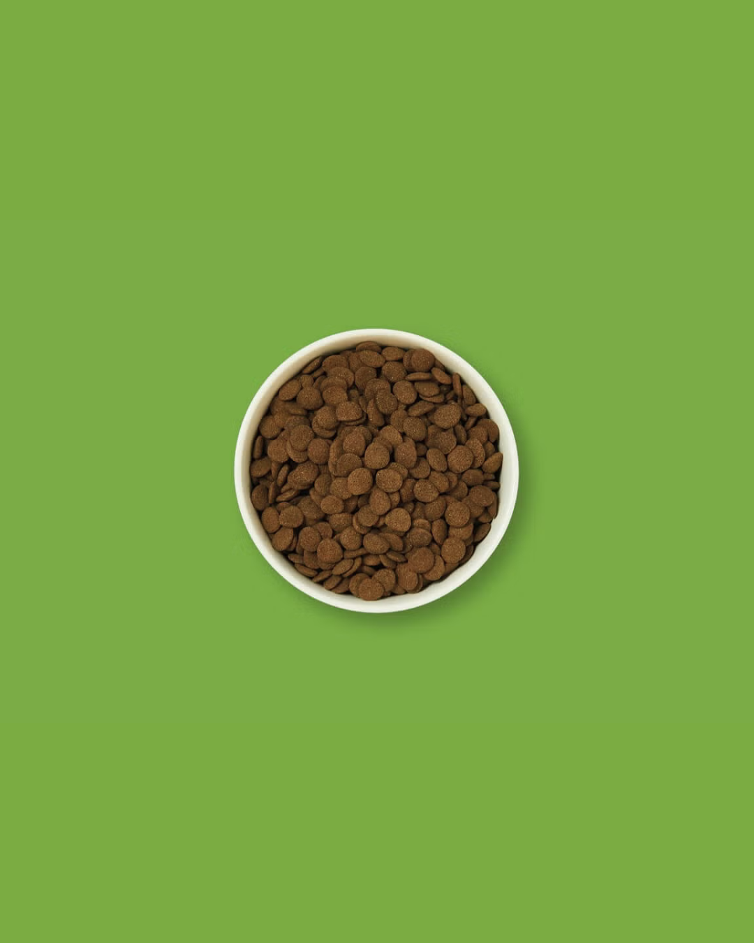 DOG Poulet & Canard de la Campagne 1 kg – Croquettes – Lily’s Kitchen