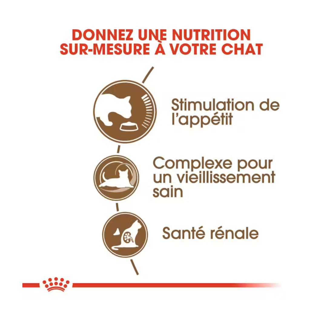 Senior Ageing 12+ Aliment Sec- Royal Canin