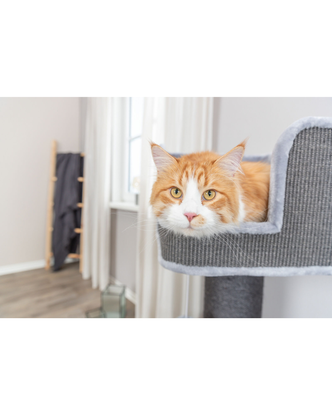  Arbre à chats XXL Ava II- Trixie