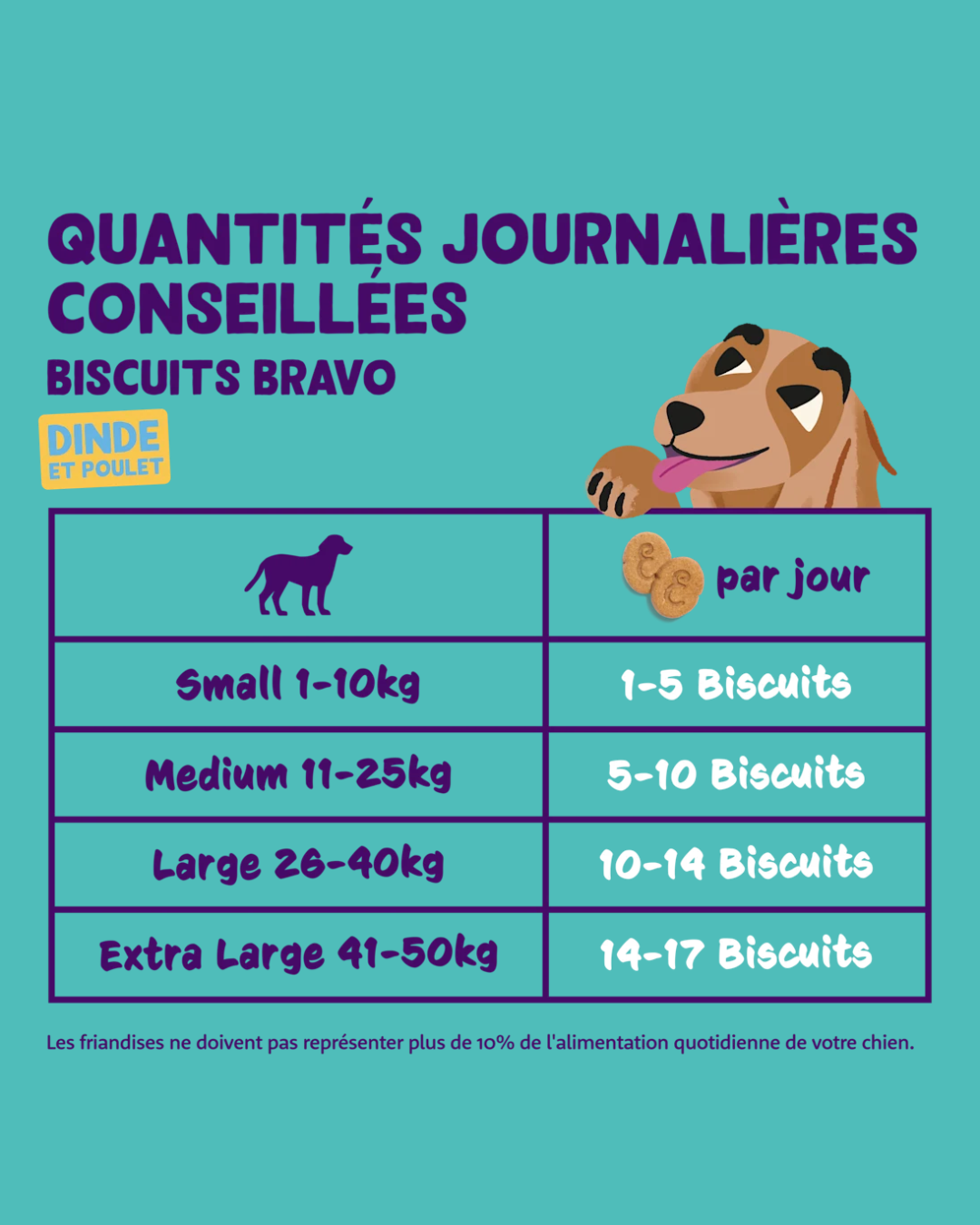 Biscuits Dinde et Poulet – Friandise pour Chiens 400g – Edgard Cooper