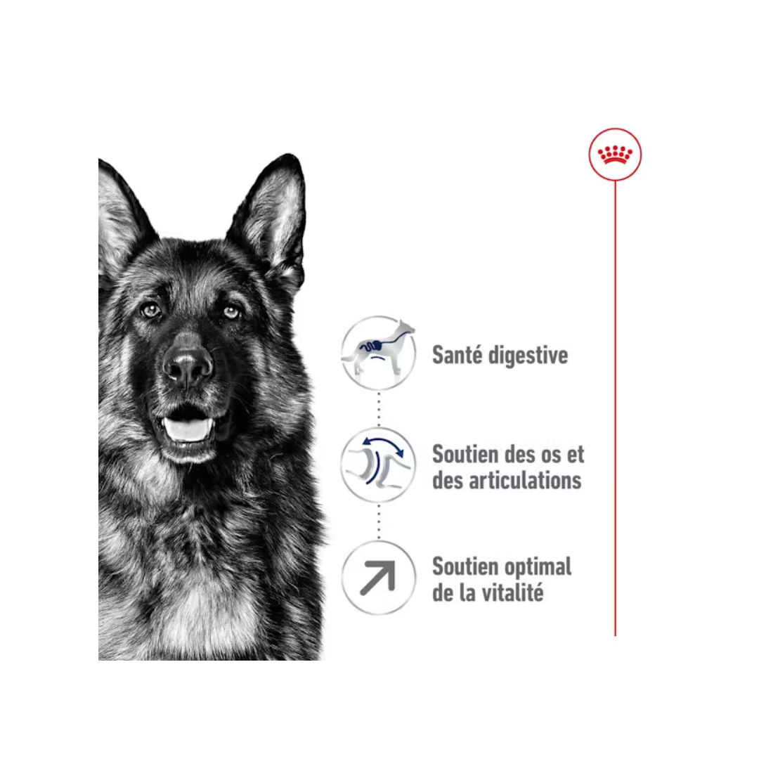 Maxi Adult 5+ Aliment Sec- Royal Canin