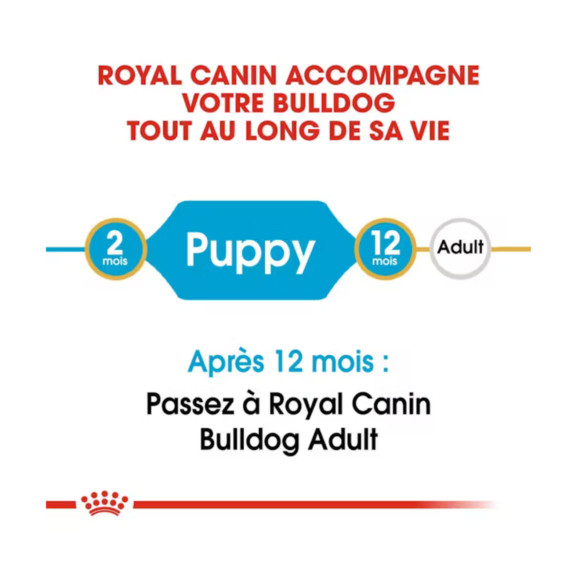 Chiot Bulldog - Aliment sec - Royal Canin
