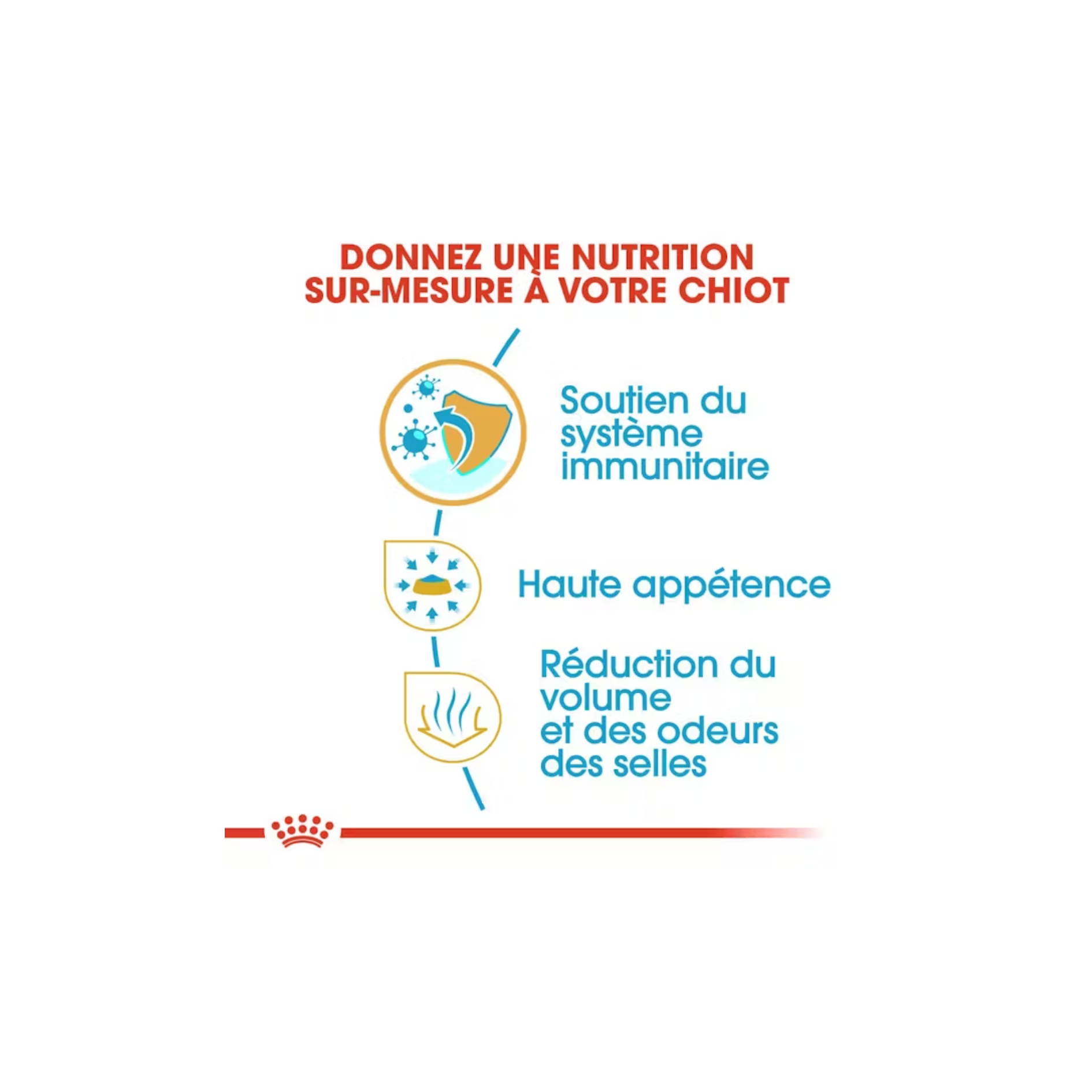 Chiot Chihuahua - Aliment sec - Royal Canin