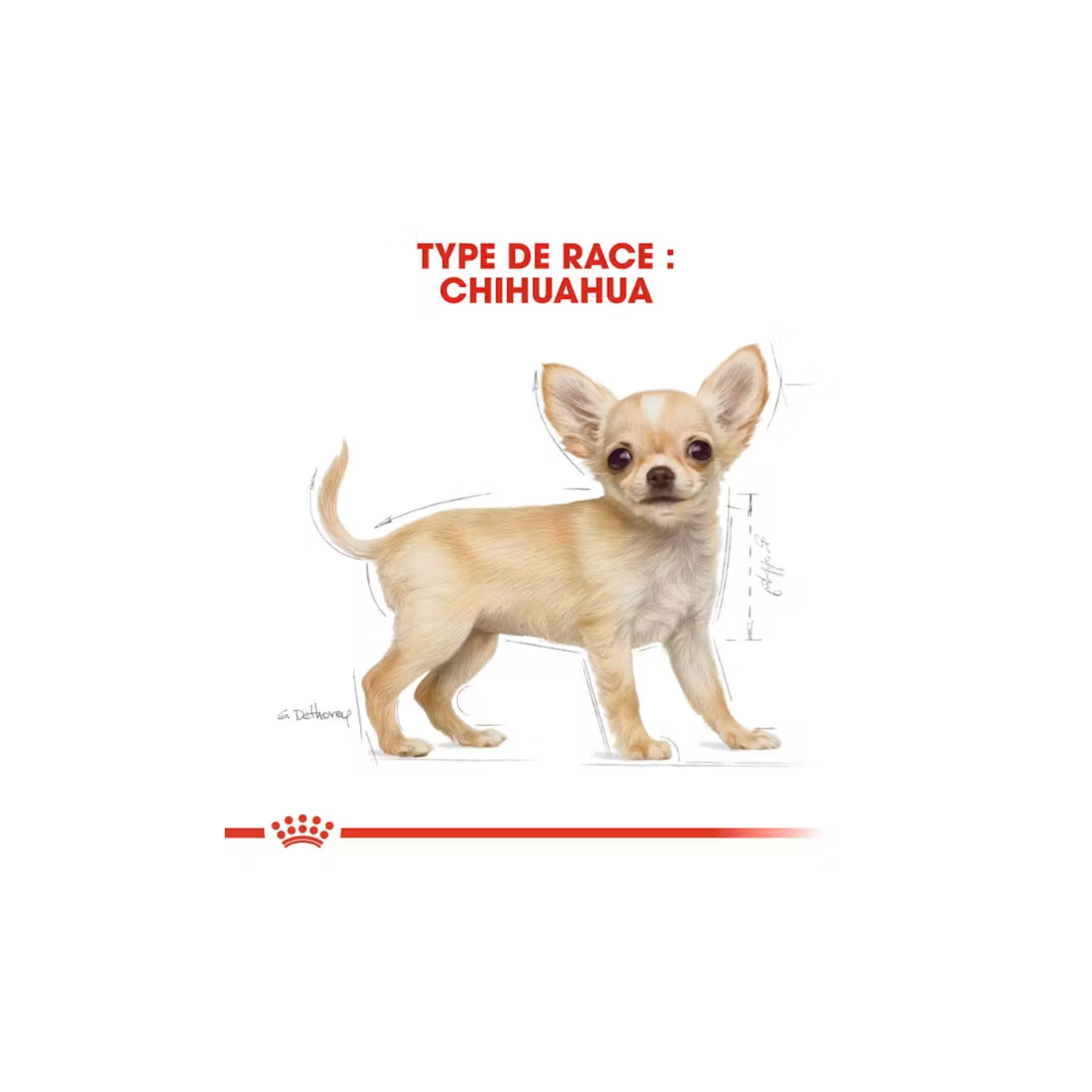 Chiot Chihuahua - Aliment sec - Royal Canin