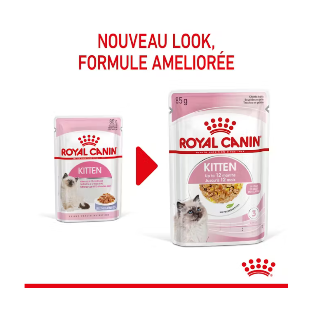 Gelée pour chaton- Aliment Humide- Royal Canin