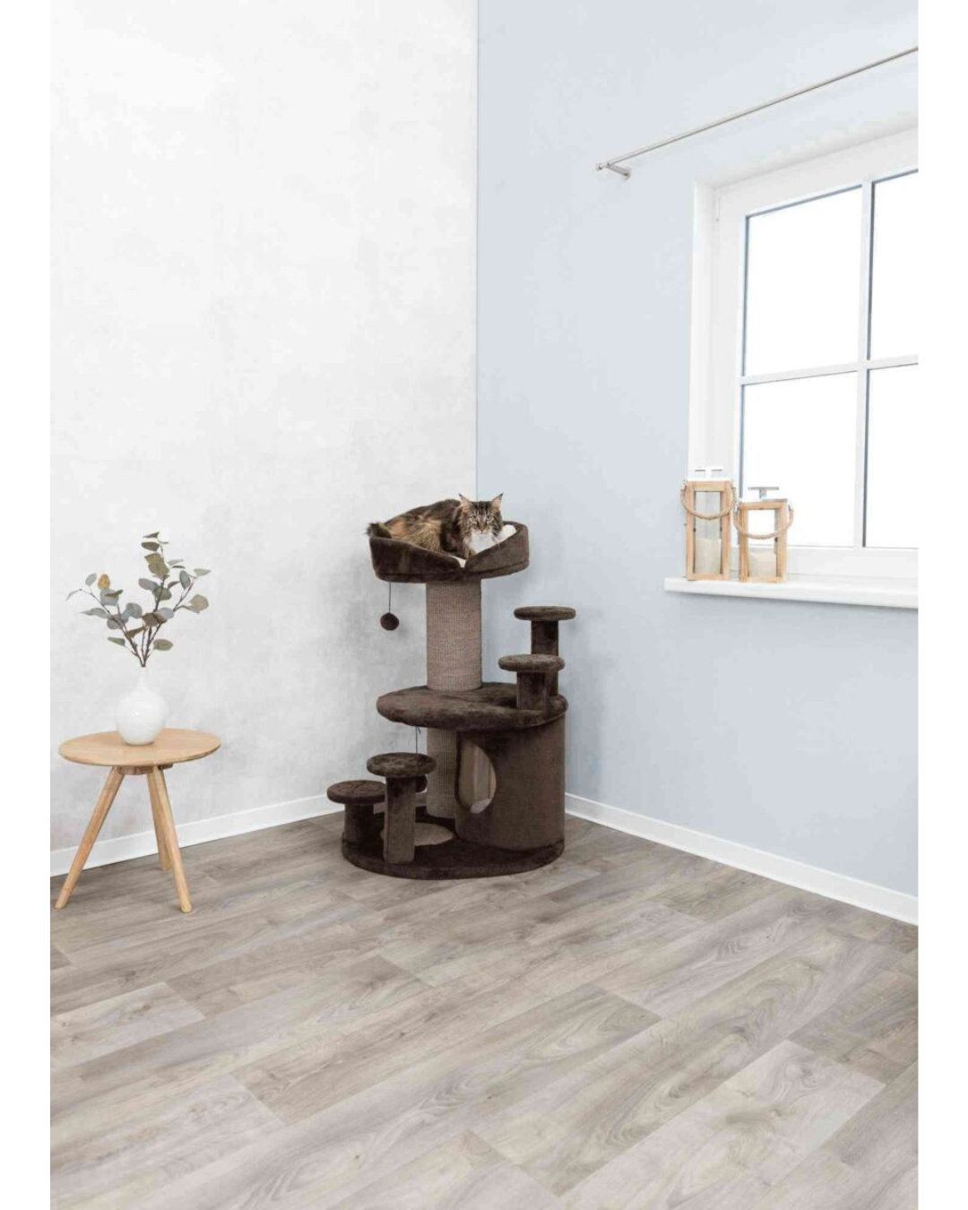 Arbre à Chat Emil – Spécial Chats Âgés- Trixie