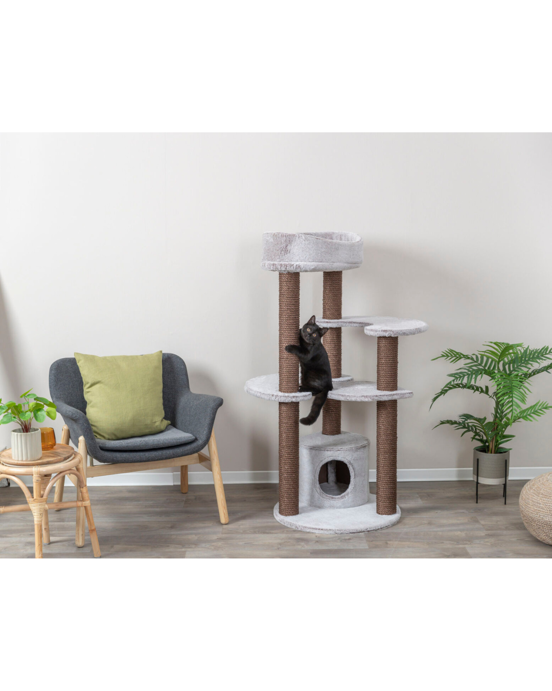 Arbre à Chat Afonso- Trixie