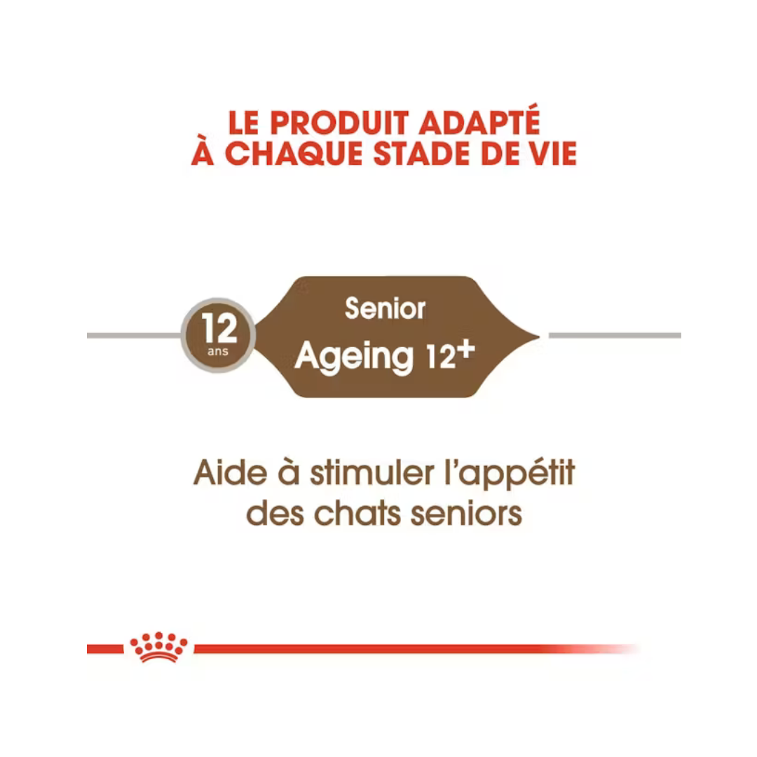 Senior Ageing 12+ Aliment Sec- Royal Canin