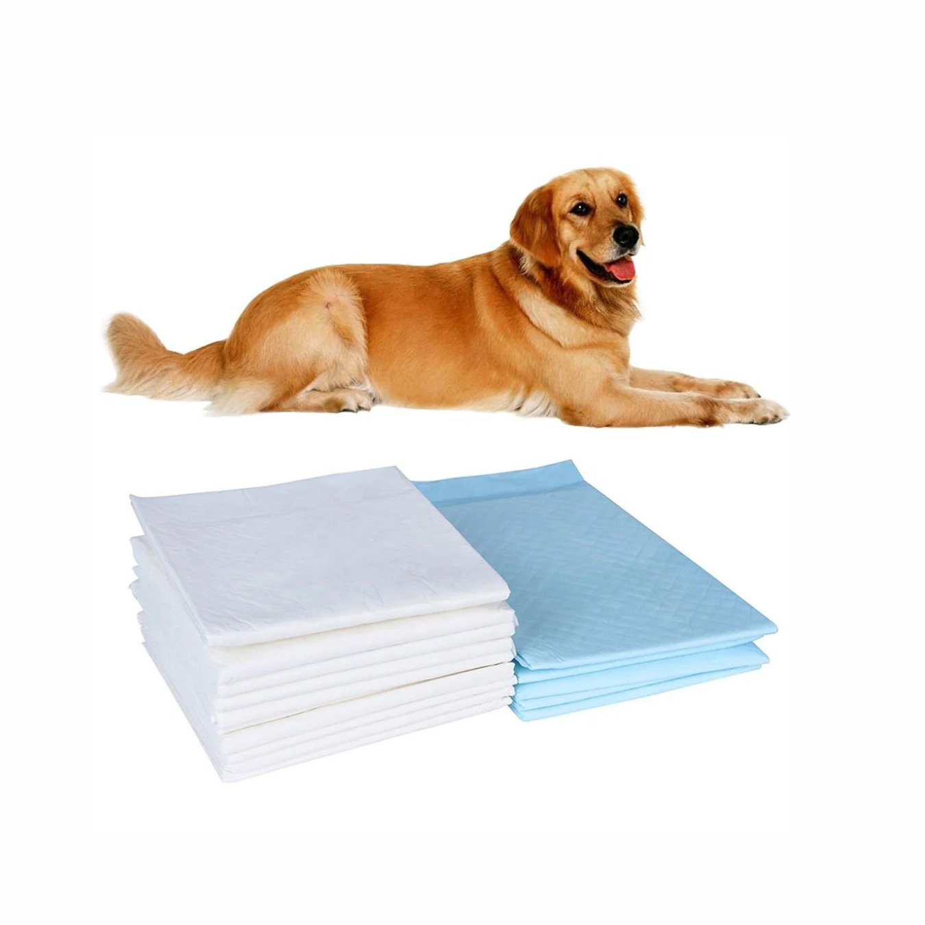 Tapis Absorbant Hygiénique 