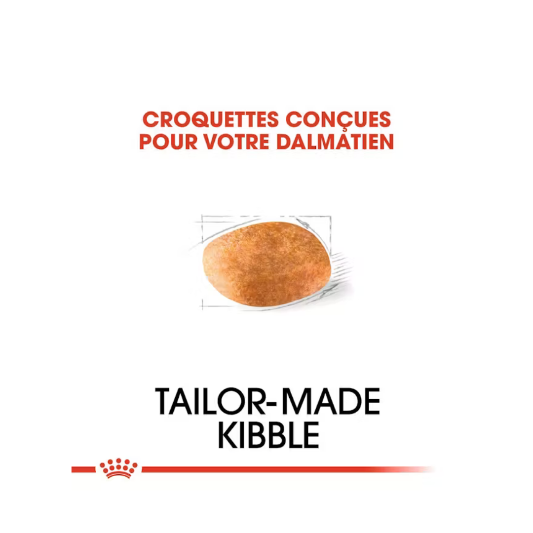 Dalmatian Adult- Alimentation Sec- Royal Canin