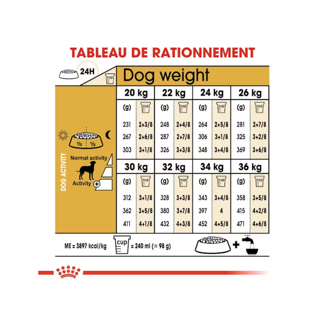 Dalmatian Adult- Alimentation Sec- Royal Canin