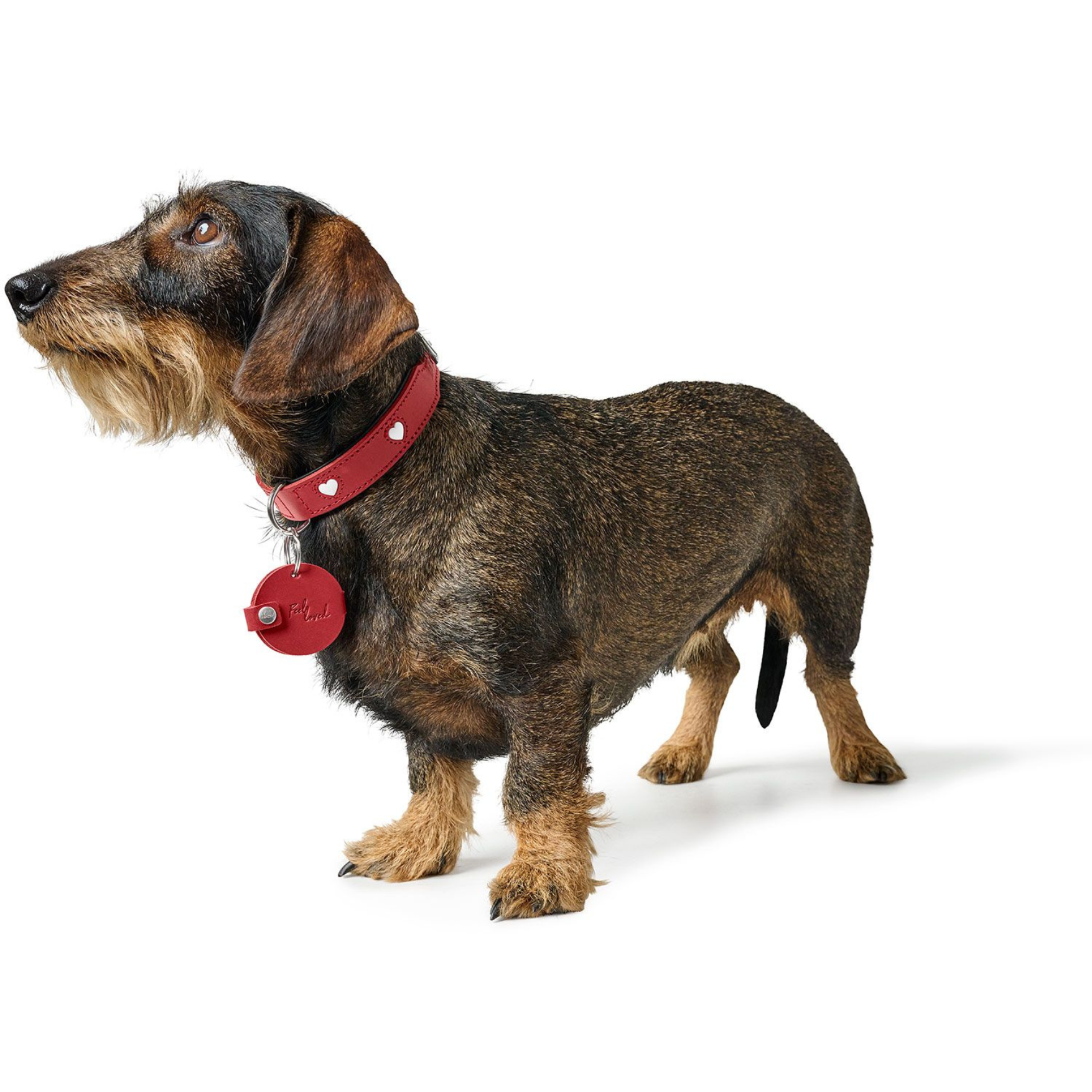 Pendentif Dog Tag Case Love M (Ø = 4,8 cm), Rouge - Hunter
