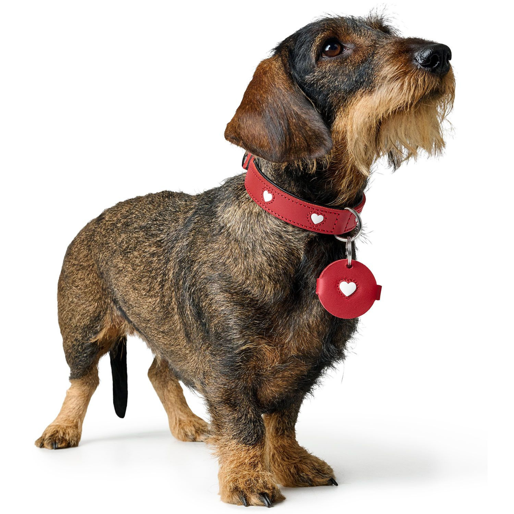 Pendentif Dog Tag Case Love M (Ø = 4,8 cm), Rouge - Hunter